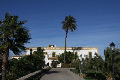 Son Manera Hotel Rural Montuiri  Esterno foto